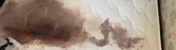 Plamy z krwi